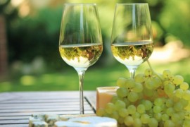 Vino bianco: i vitigni più usati e interessanti!