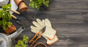 Come prendersi cura del giardino: gli strumenti essenziali per il fai da te