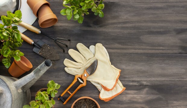 Come prendersi cura del giardino: gli strumenti essenziali per il fai da te