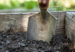 Come mantenere in salute il giardino: tutto quello che c’è da sapere