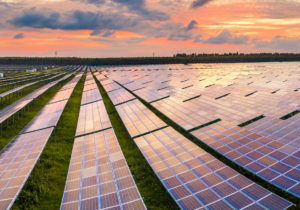 Fotovoltaico: Come Scegliere il Miglior Impianto per la Tua Casa o Azienda