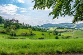 Esperienze di benessere immersive nella natura: come il turismo rurale sta reinventando il wellness
