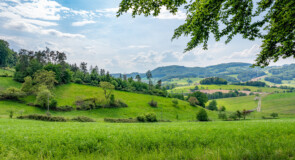 Esperienze di benessere immersive nella natura: come il turismo rurale sta reinventando il wellness