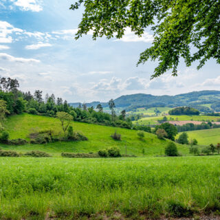 Esperienze di benessere immersive nella natura: come il turismo rurale sta reinventando il wellness