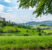 Esperienze di benessere immersive nella natura: come il turismo rurale sta reinventando il wellness