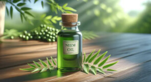 Olio di neem solubile: come diluirlo e usarlo sulle piante senza fare danni