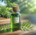 Olio di neem solubile: come diluirlo e usarlo sulle piante senza fare danni