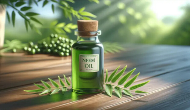 Olio di neem solubile: come diluirlo e usarlo sulle piante senza fare danni